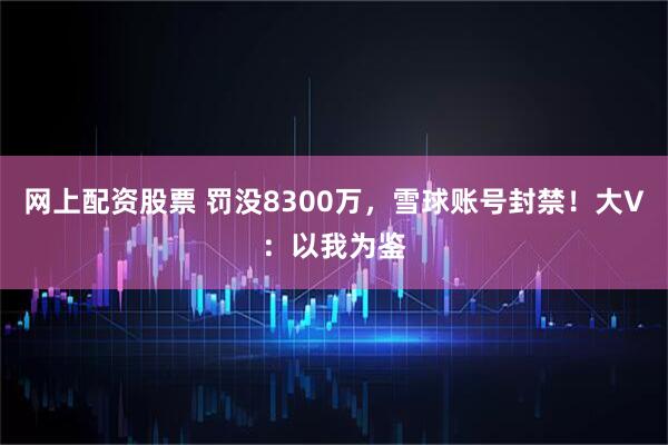 网上配资股票 罚没8300万，雪球账号封禁！大V：以我为鉴
